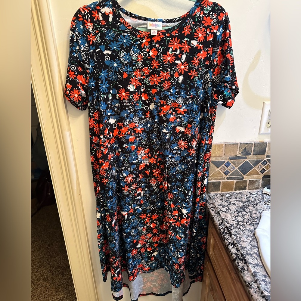 Lularoe Carly Dress